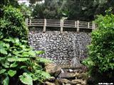 Bosque Nacional El Yunque - LUQUILLO